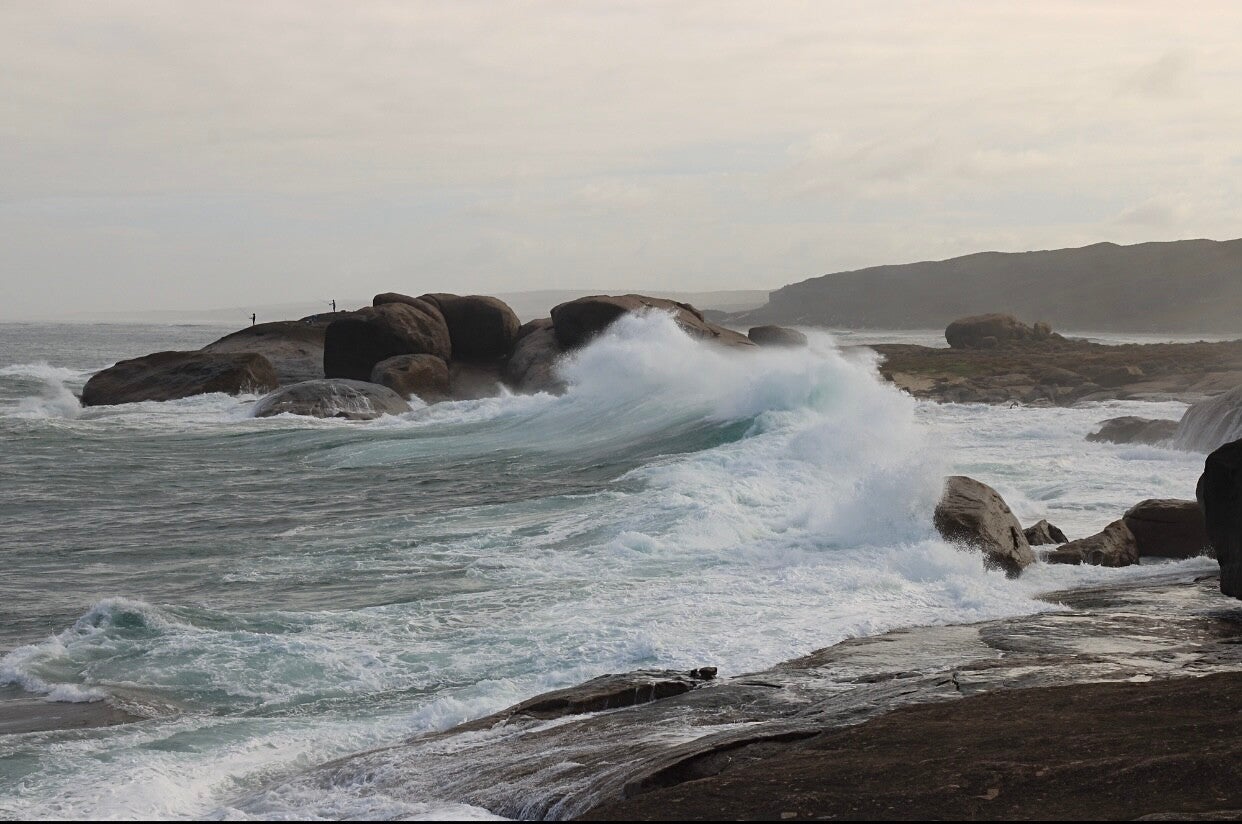 Wild Coast