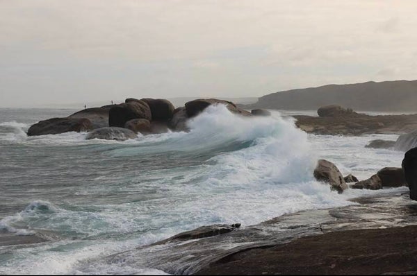 Wild Coast
