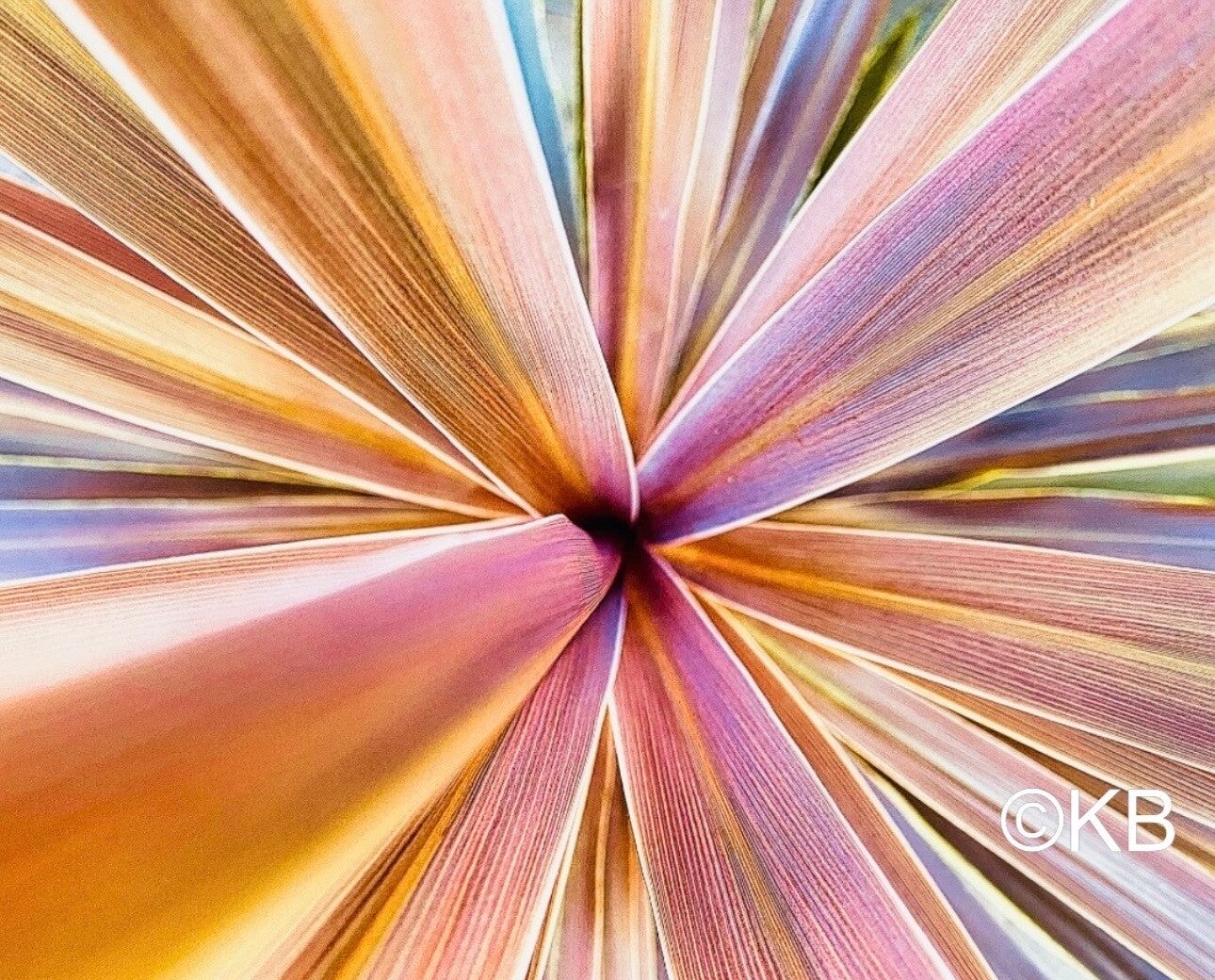 Deep Lines