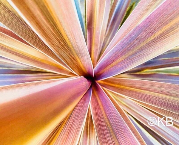 Deep Lines