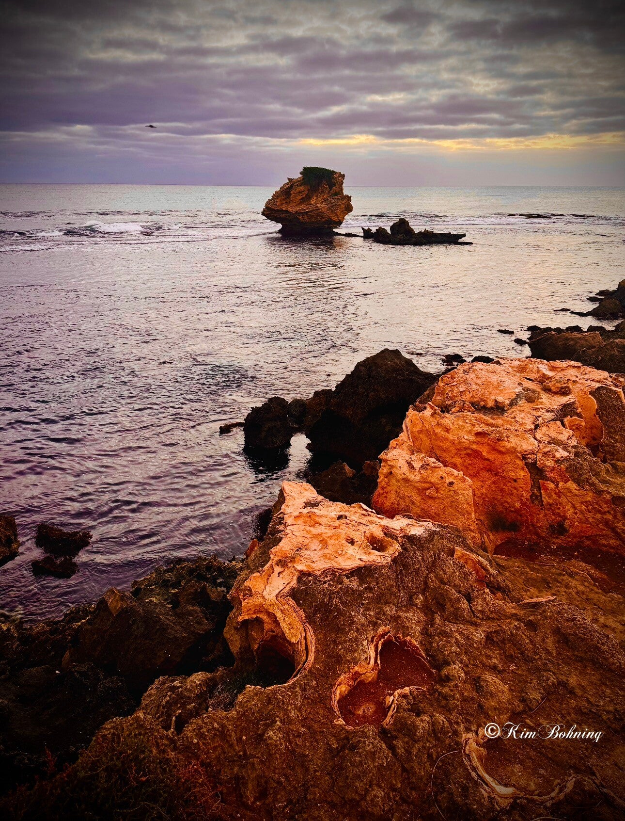 Enduring Coast