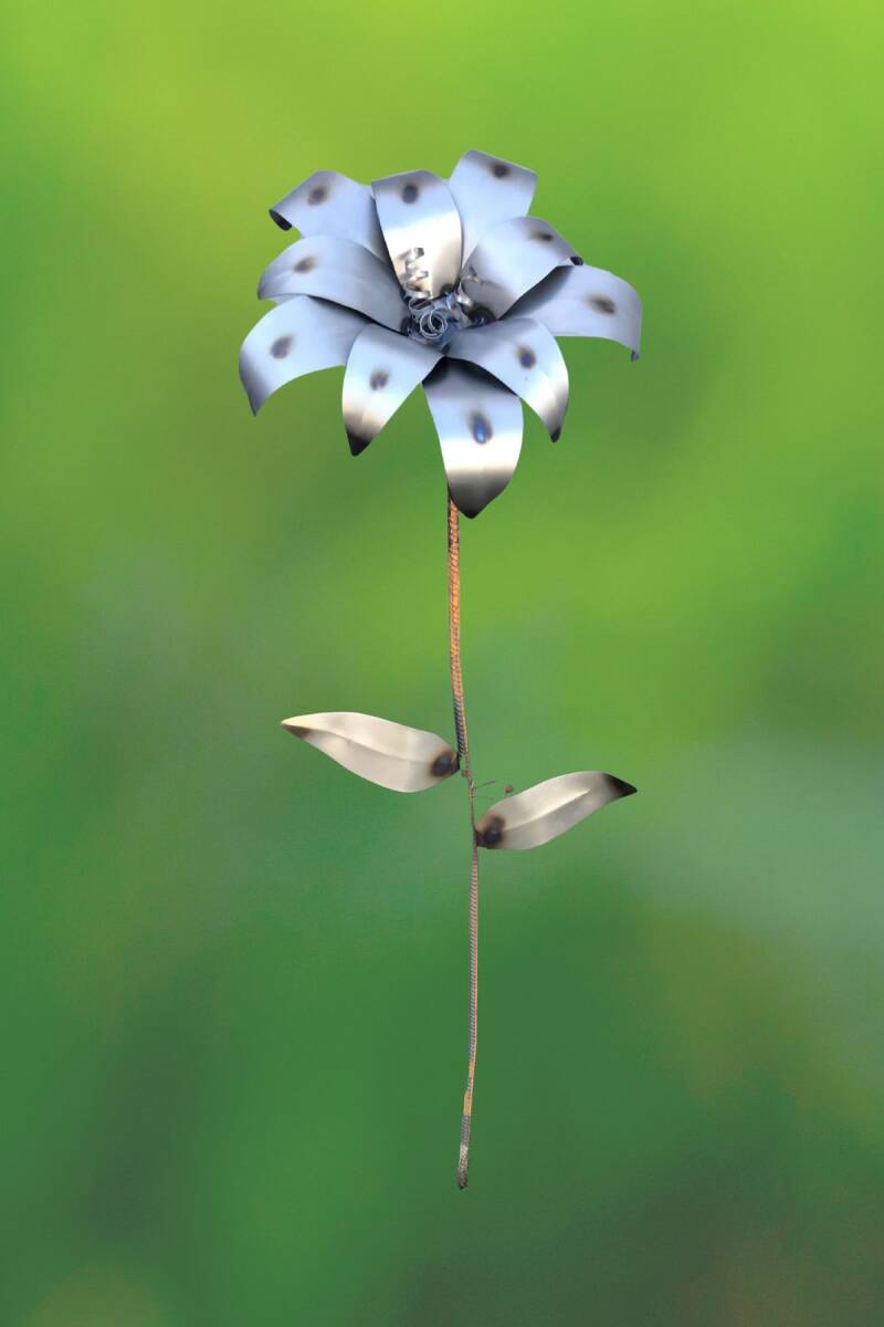 Large garden flower