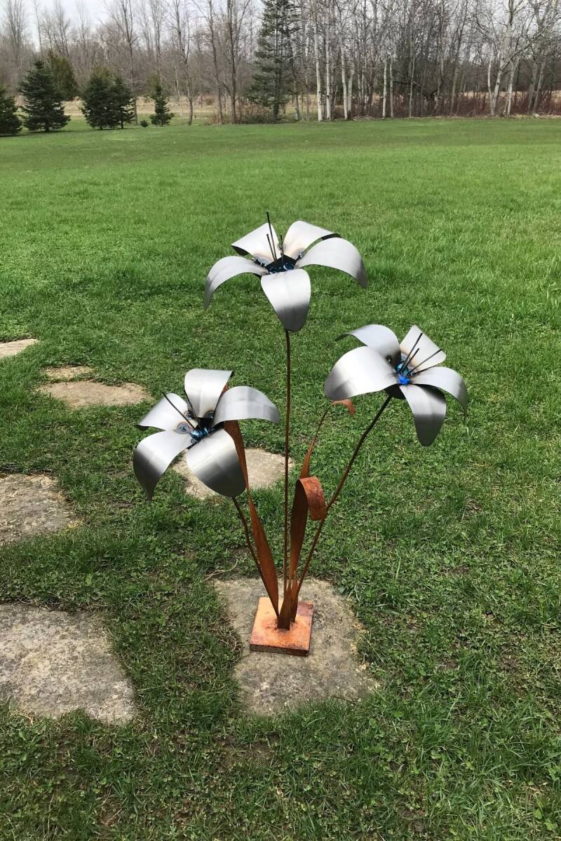 Lily's