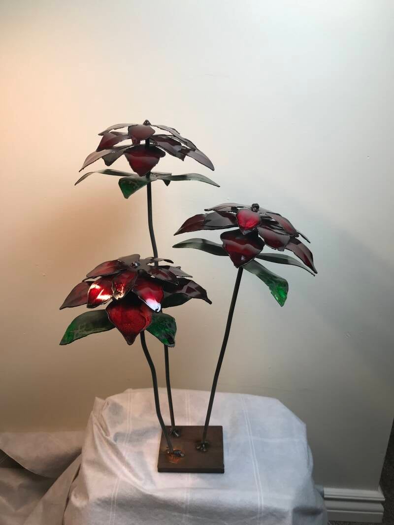 Pointsettia