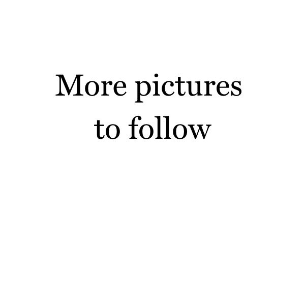 more-pictures-to-follow-standard.png