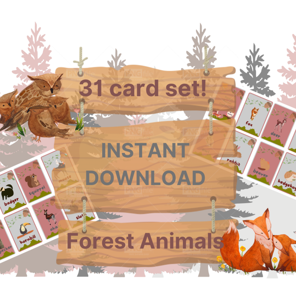 Woodland Animal Flashcards