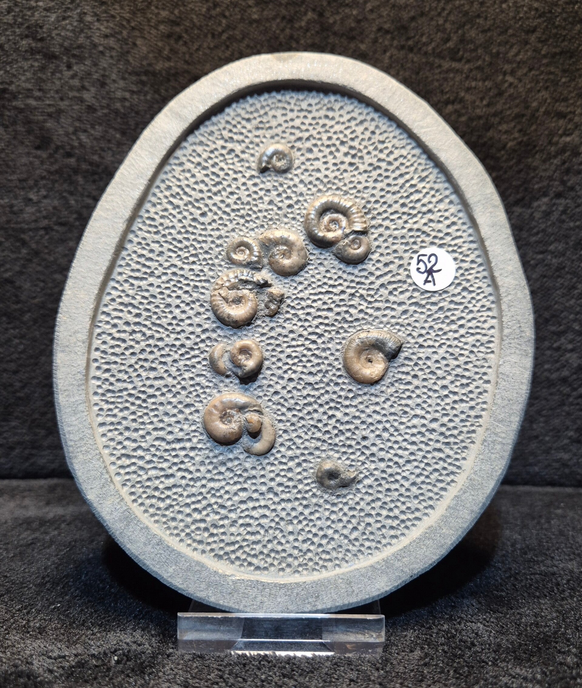 Top stone Nodule 52a