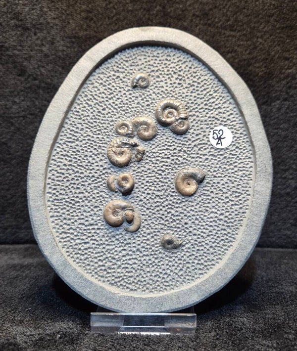 Top stone Nodule 52a