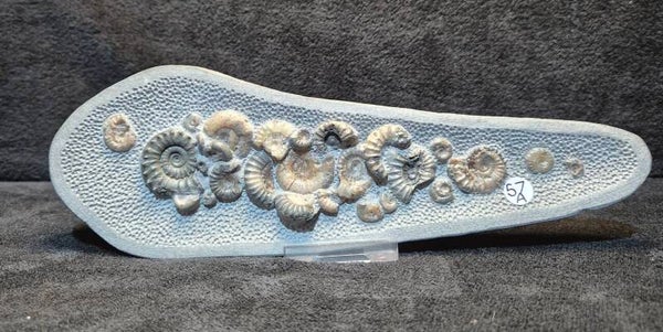 Topstone nodule deathbed 57a