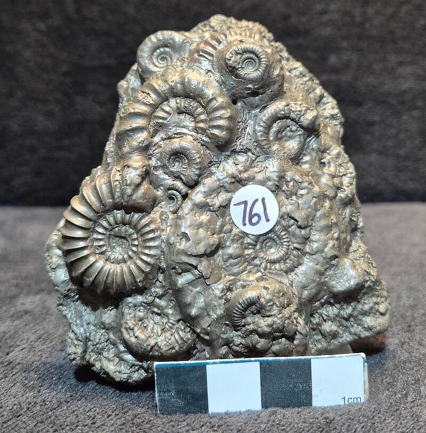 Pyrite cluster   761