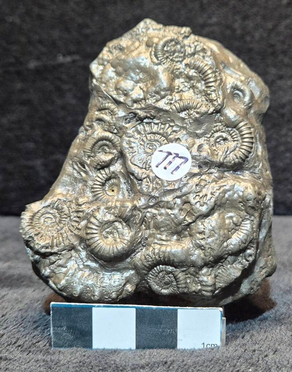 Pyrite cluster  777