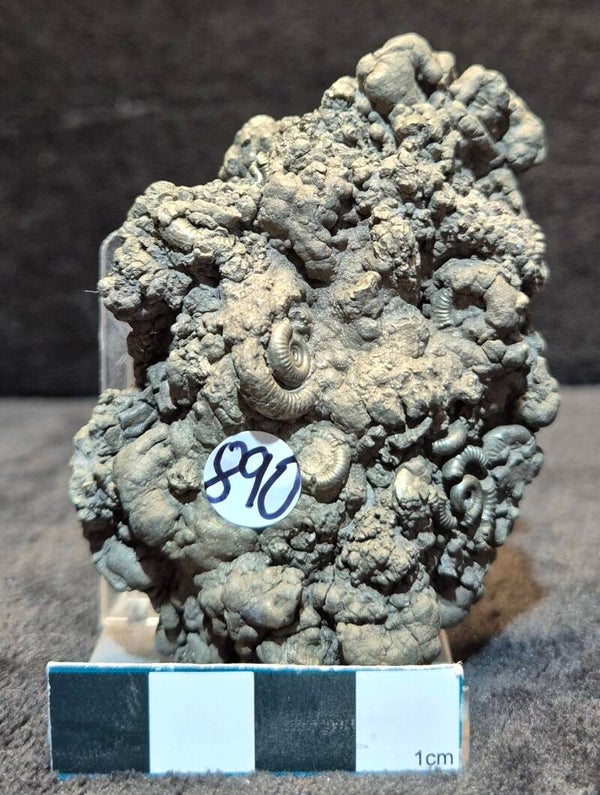 Pyrite cluster    890