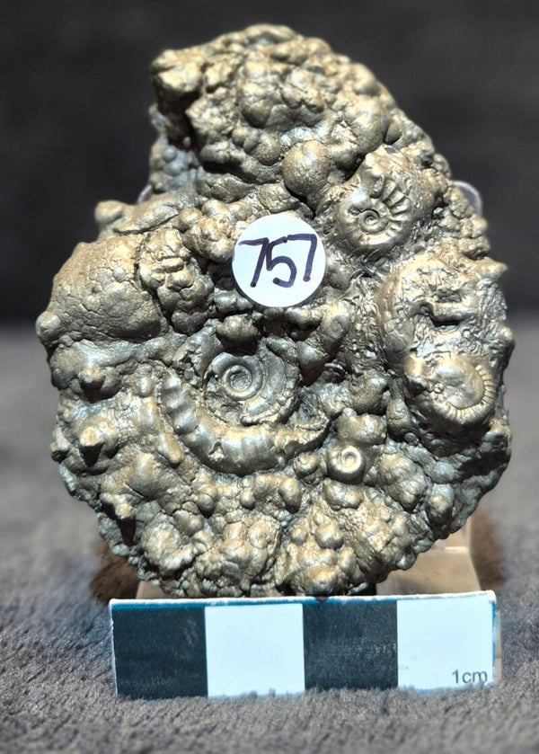 pyrite cluster   757