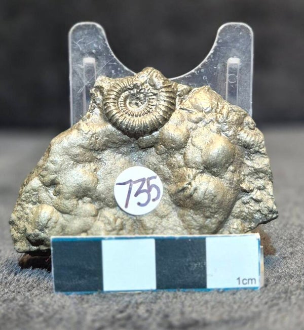 Pyrite cluster   735