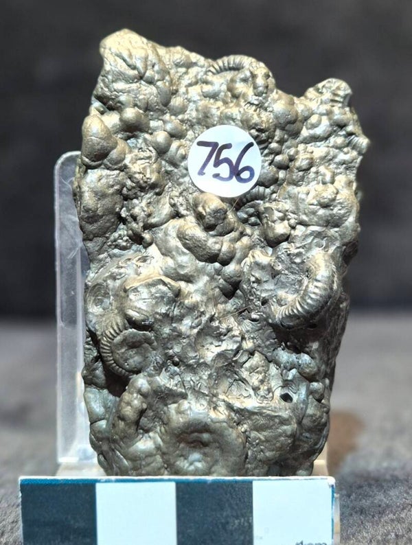 Pyrite cluster    756