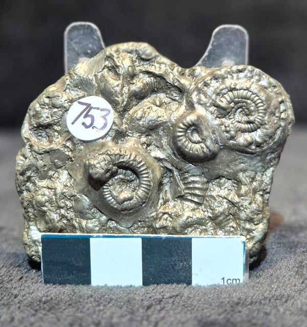 Pyrite cluster    753