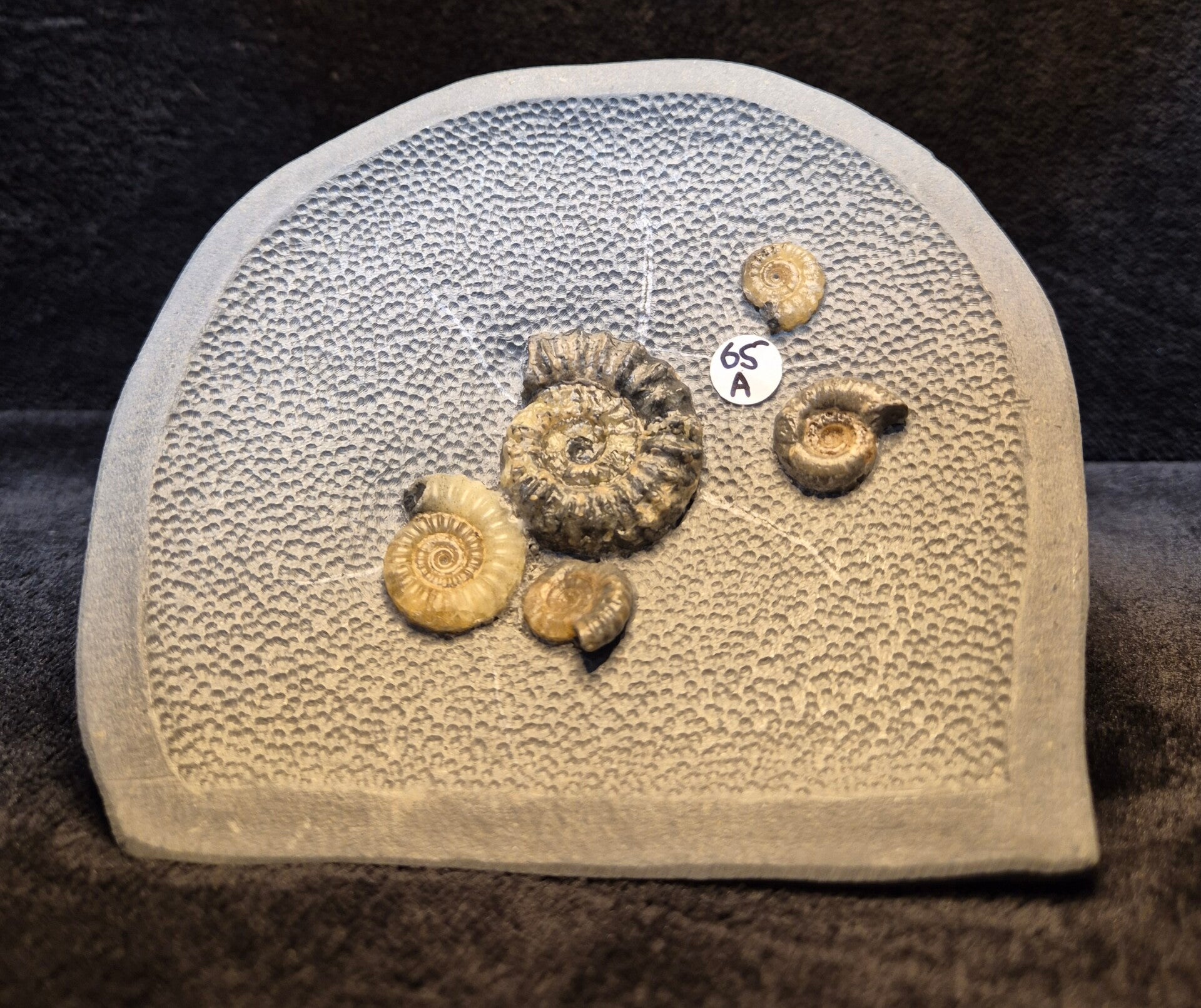 Topstone nodule  65a
