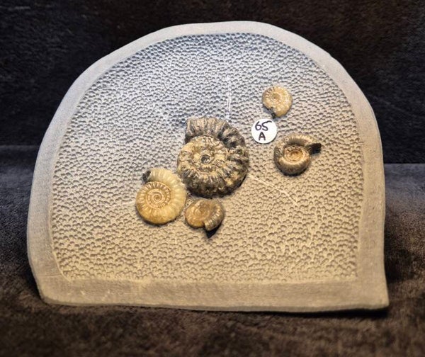 Topstone nodule  65a