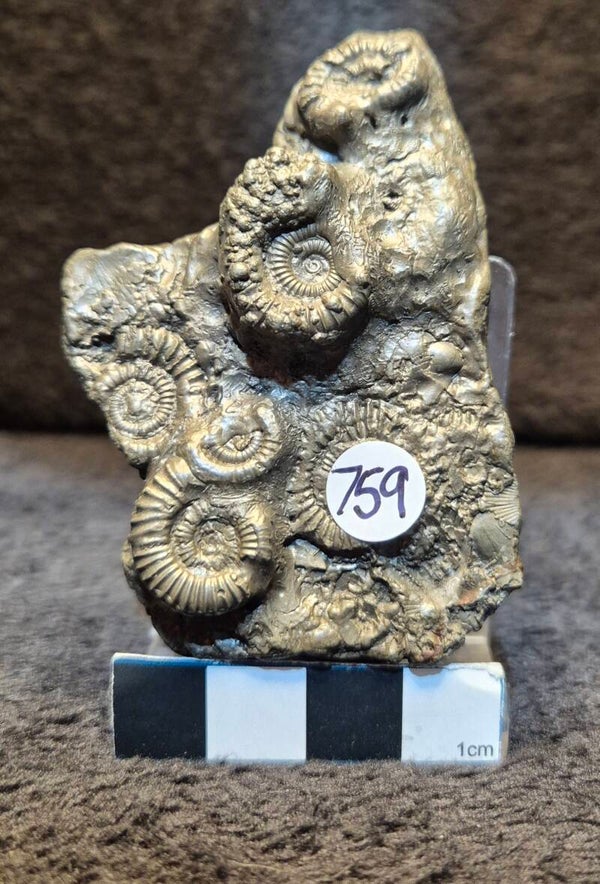 Pyrite cluster  759