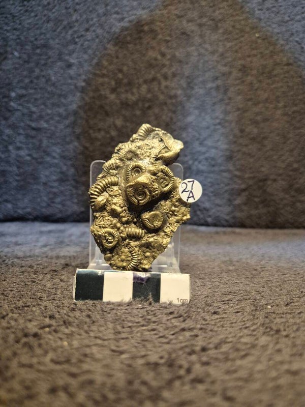 Pyrite cluster  27a