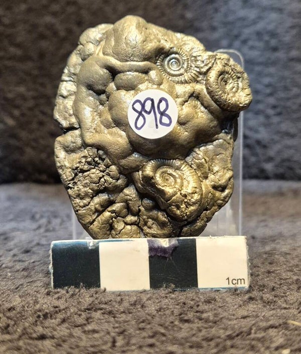 Pyrite cluster 898