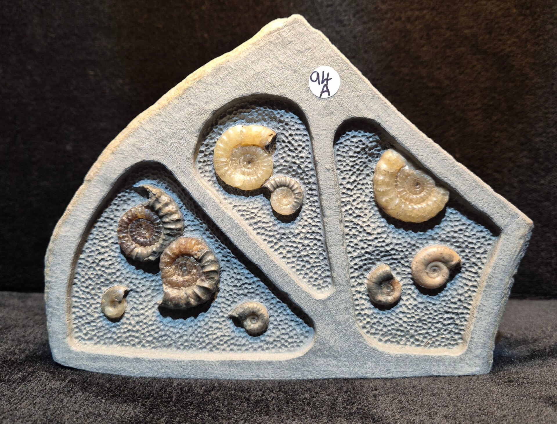 Calcite ammonites 94a