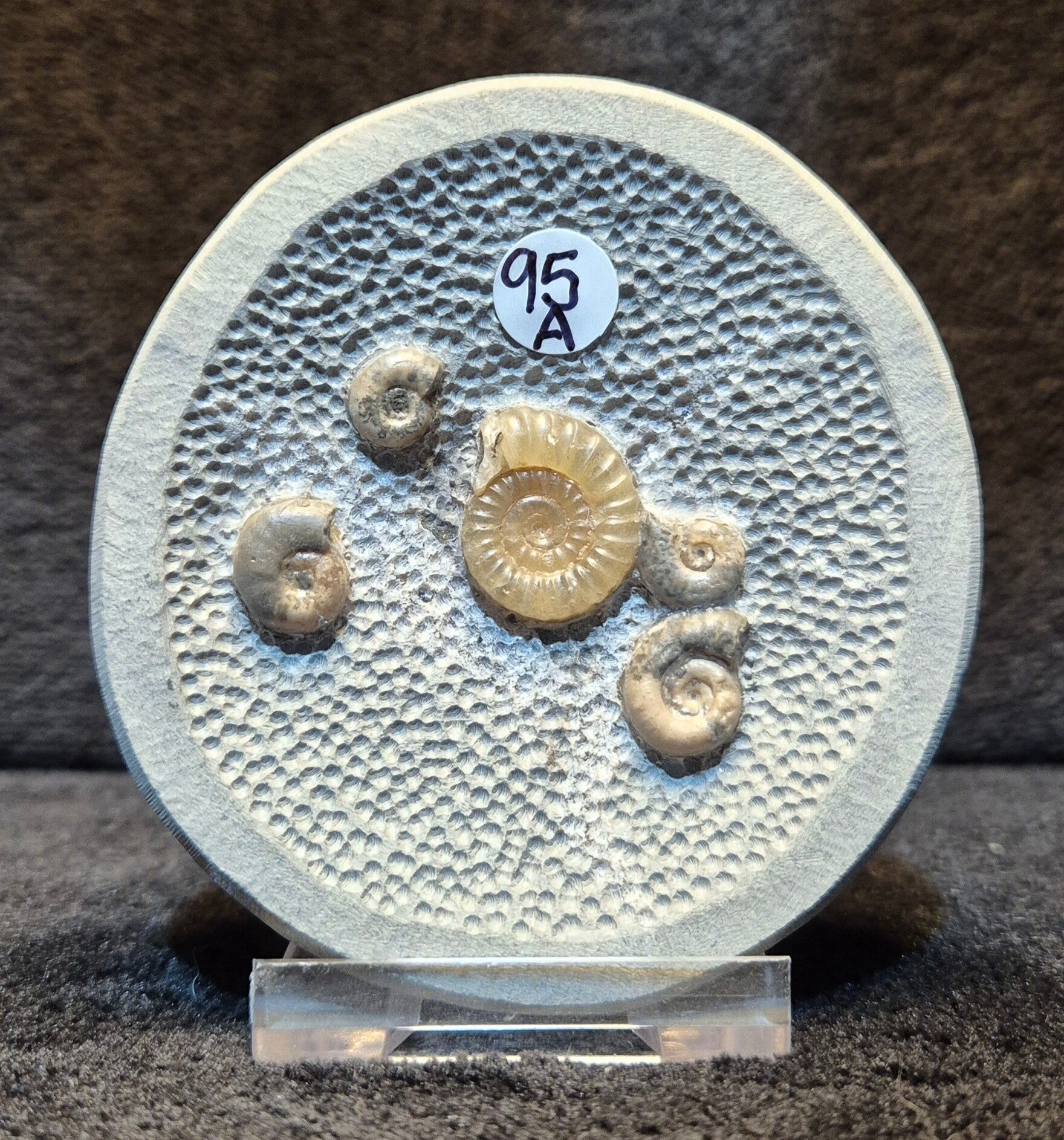 Topstone nodule 95a