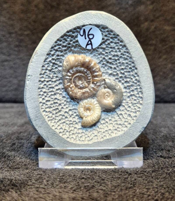 Topstone nodule  96a