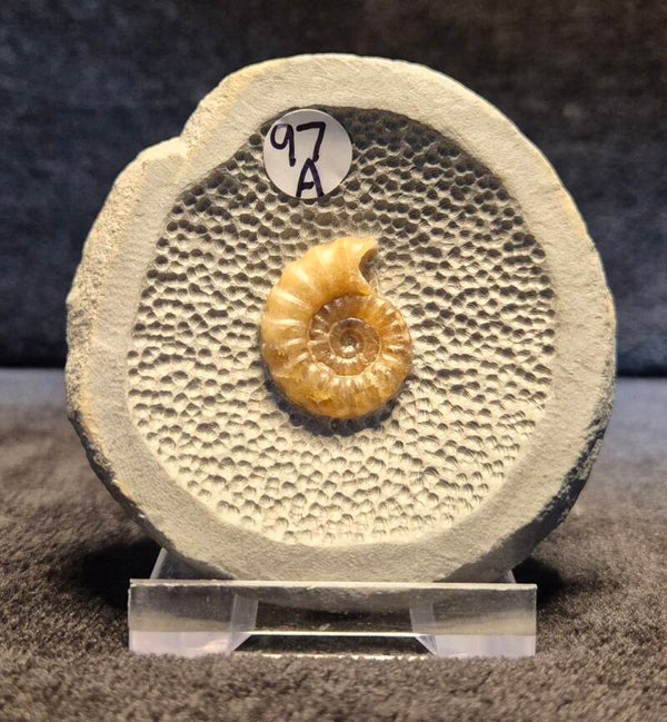 Topstone nodule 97a
