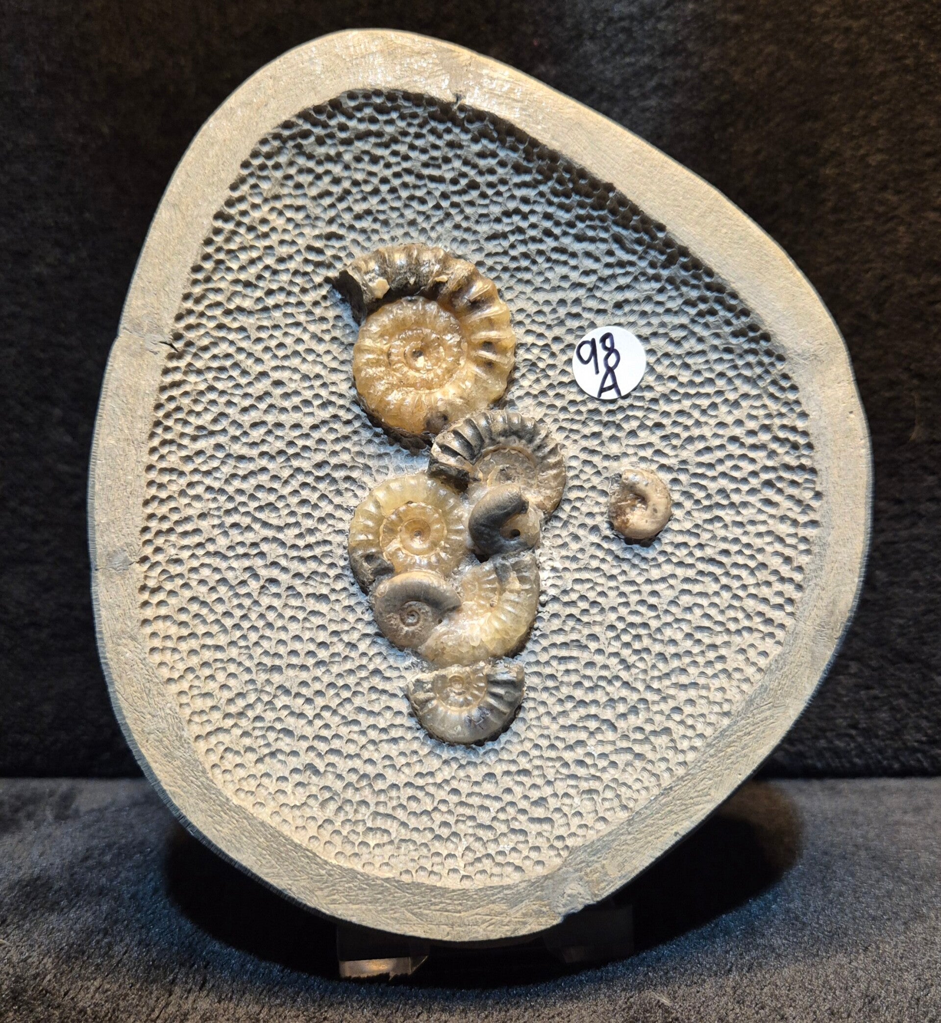 Topstone nodule 98a