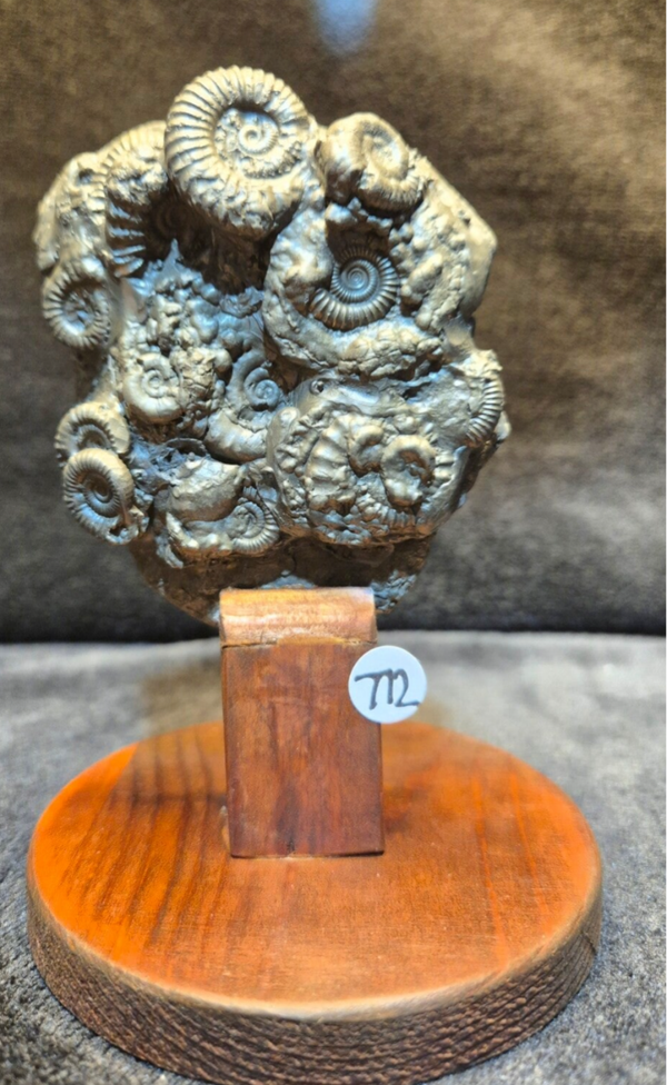 Mounted pyrite cluster 772
