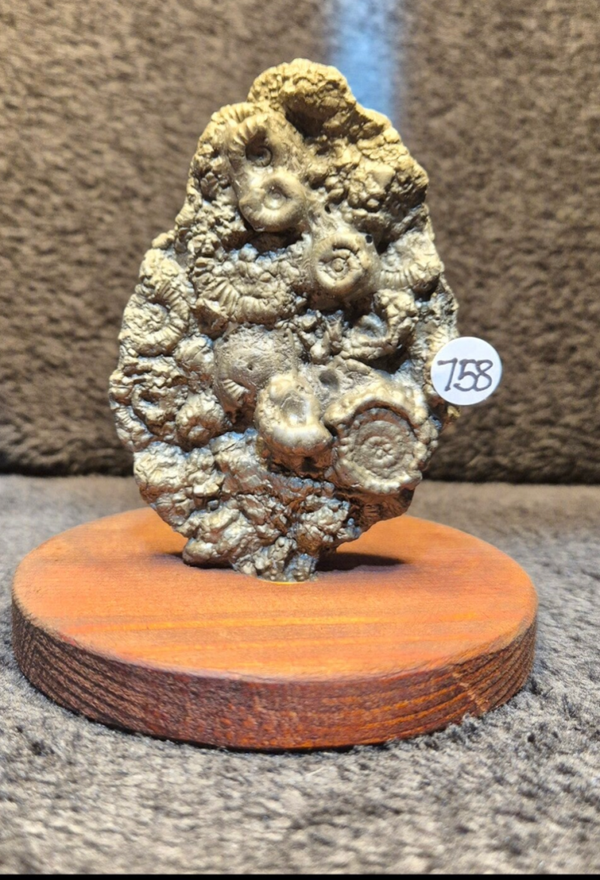 Mounted pyrite cluster  758
