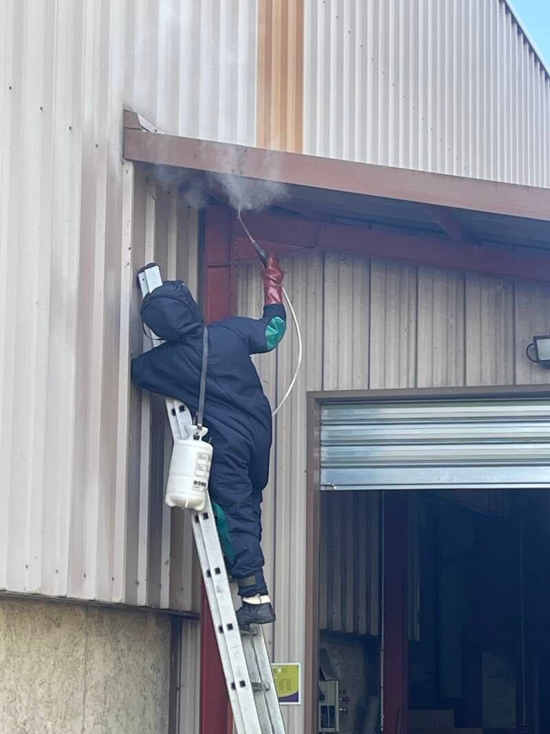 Traitement préventif toiture anti guêpes frelons 