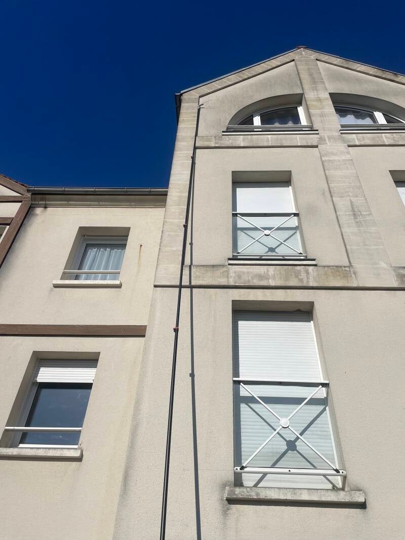 Nid de guêpes dans immeuble collectif 