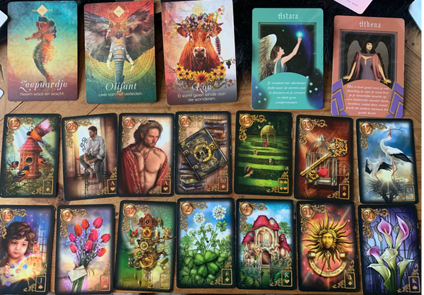 Uitgebreide kaartlegging/reading