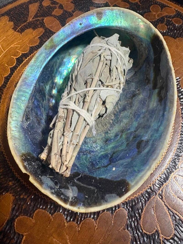 Smudge Set: Abalone Schelp met Witte Salie