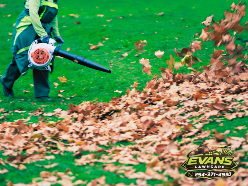 Fall in Central Texas, fall weather in Copperas Cove, fall lawn maintenance 
