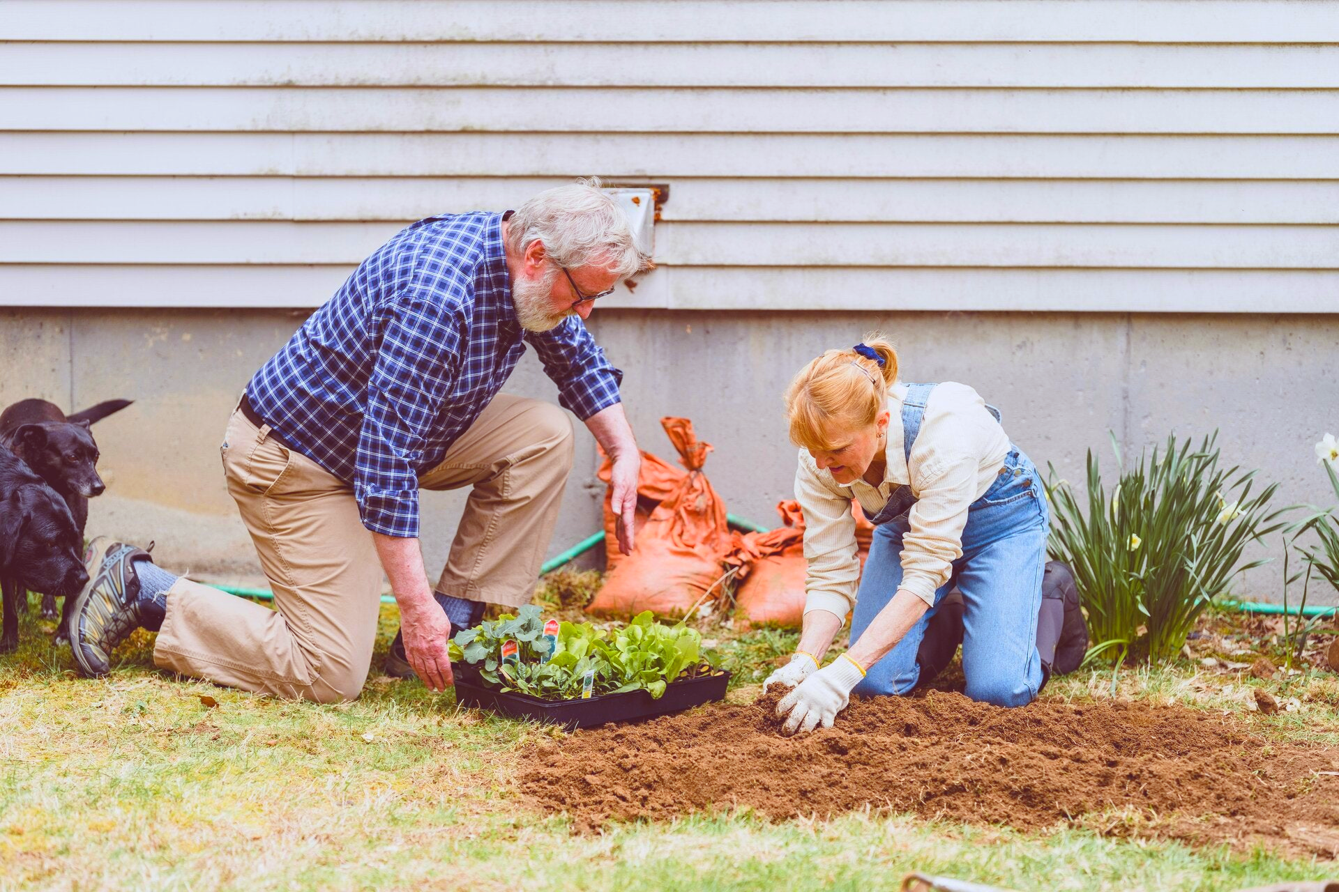 DIY landscape projects, DIY Outdoors, Copperas Cove landscape projects,  low budget landscape projects, DIY landscape ideas in Central Texas 