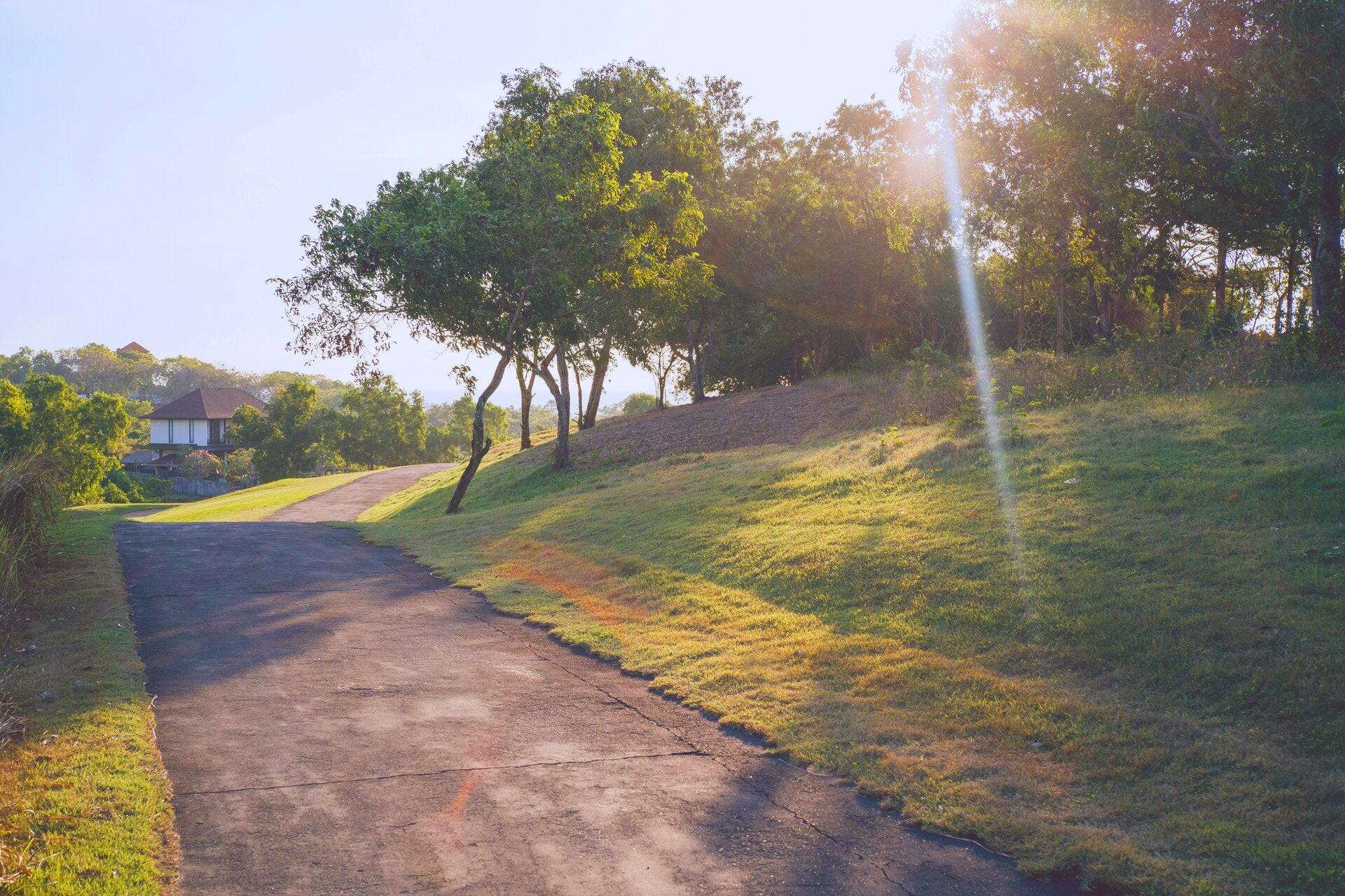 Texas summer lawn care, texas lawns, summer yard maintenance 
