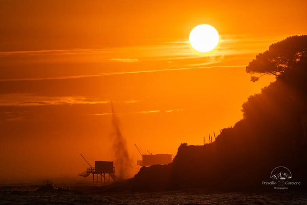 Eclats dorés sur la côte Atlantique