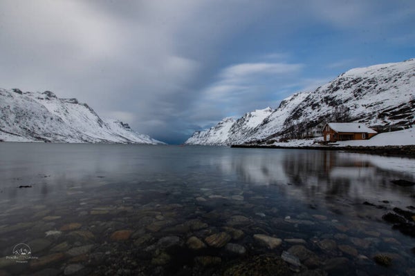 Sérénité hivernale à Kvaloya