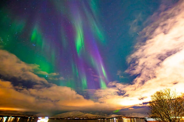 Éclats polaires à Tromso