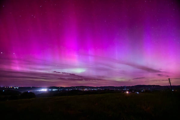 Océan rose dans les Monts du Lyonnais