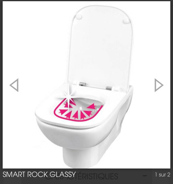 Bati suspendu  Autoportant WIRQUIN Smart Rock + CUVE GLASSY sans bride