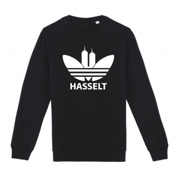 Sweater Hasseltdas