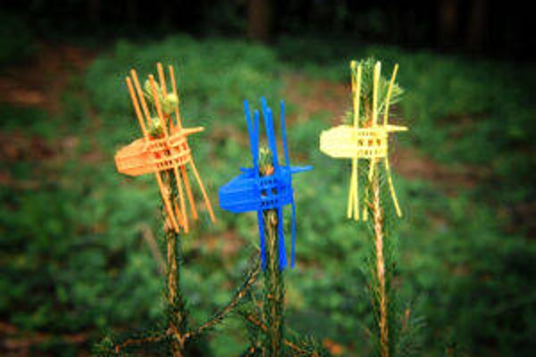 Double-Save Tree Protector