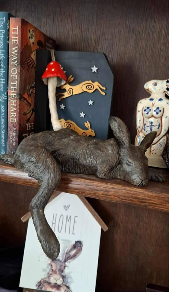 Harlan the Hare Shelf Sleeper