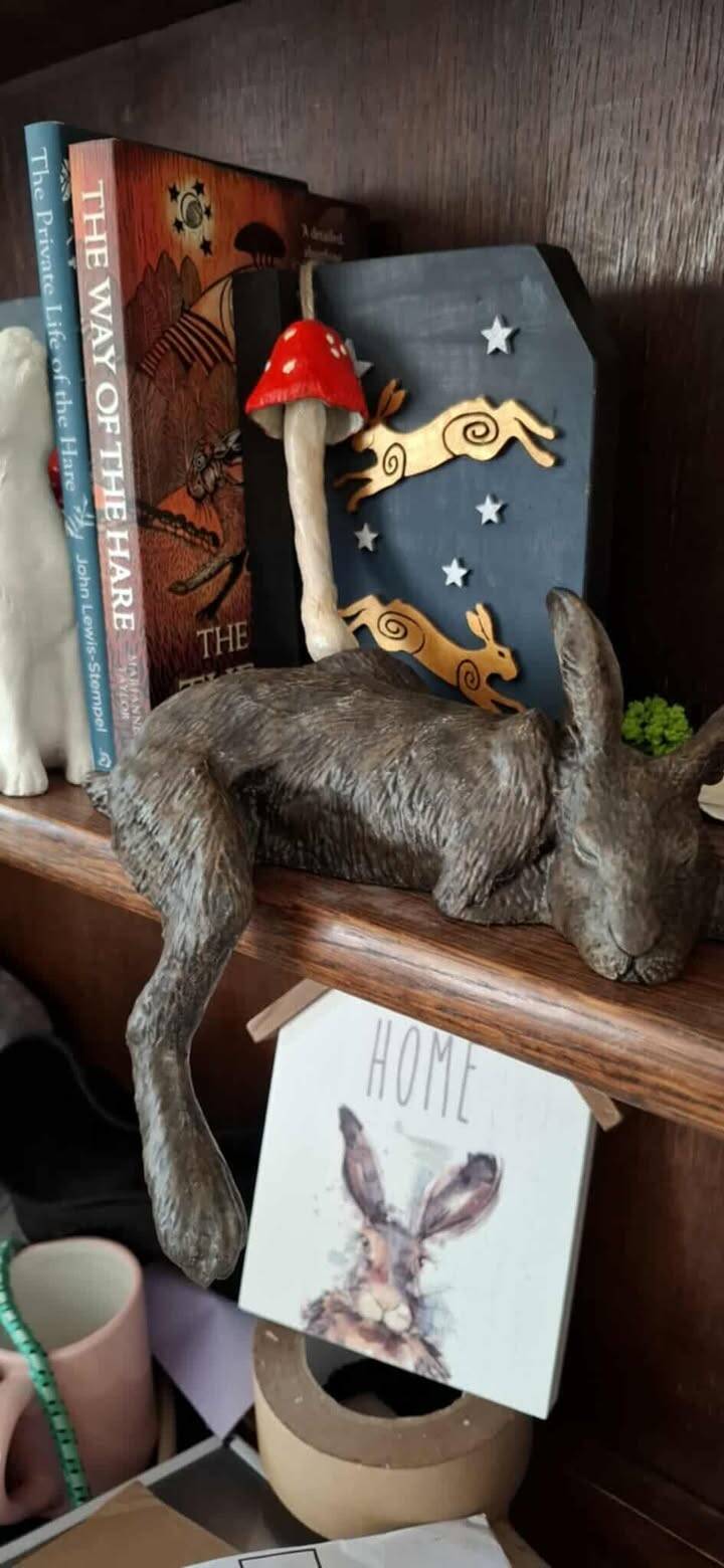 Harlan the Hare Shelf Sleeper