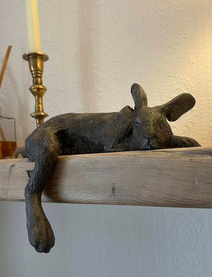 Harlan the Hare Shelf Sleeper