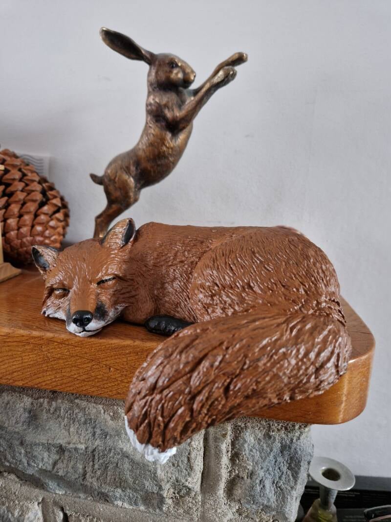 Liska the Fox Shelf Sleeper